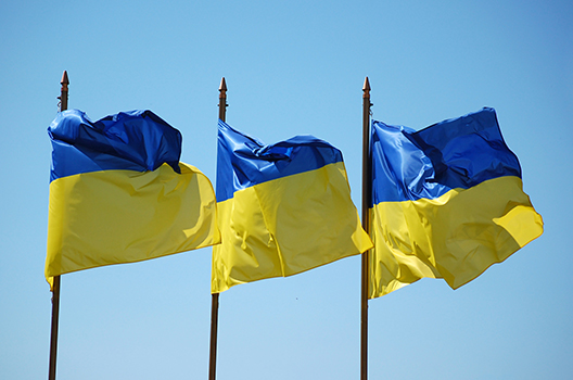 Ukraine: Forwards or Backwards? A Response to Thomas Theiner and James Brooke