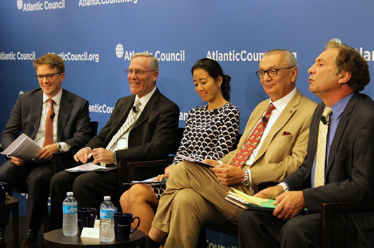 Transforming the Power Sector in Developing Countries