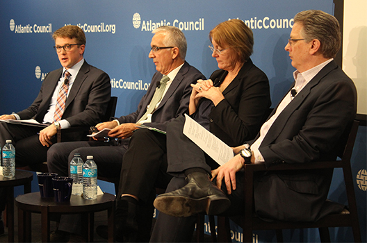 Strategies for Power Sector Transition: Comparing the US and Germany