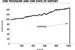 The Life of a Turkey