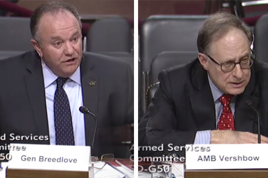 Breedlove and Vershbow Testify before US Senate Committee on Armed Services on US Policy and Strategy in Europe