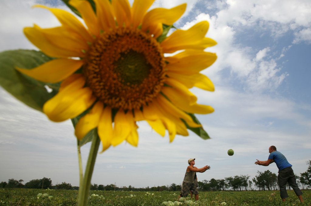 The Right Land Reform Could Transform Ukraine Now