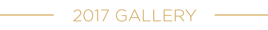 2017 Distinguished Leadership Awards Gallery