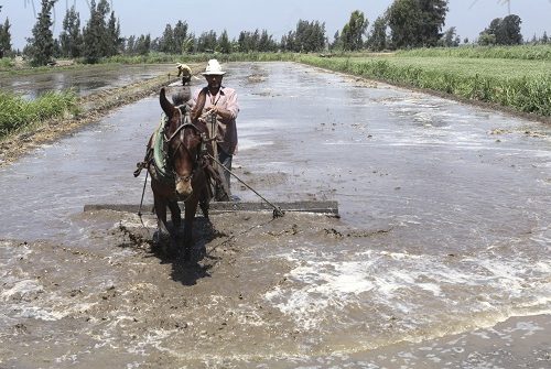 Nile Basin’s GERD dispute creates risks for Egypt, Sudan, and beyond