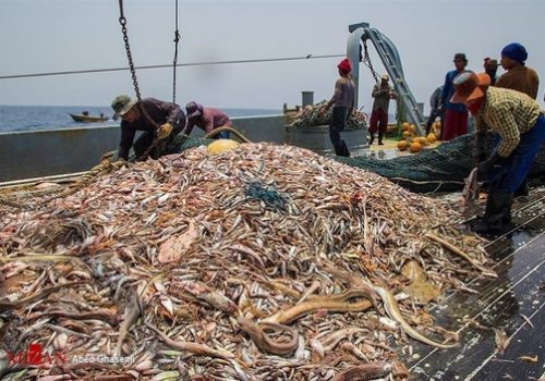 Environmental and wildlife degradation in Iran