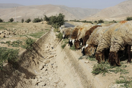 How climate change could exacerbate conflict in the Middle East