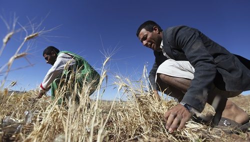 Climate vulnerability and food insecurity in MENA should be priorities for US policymakers