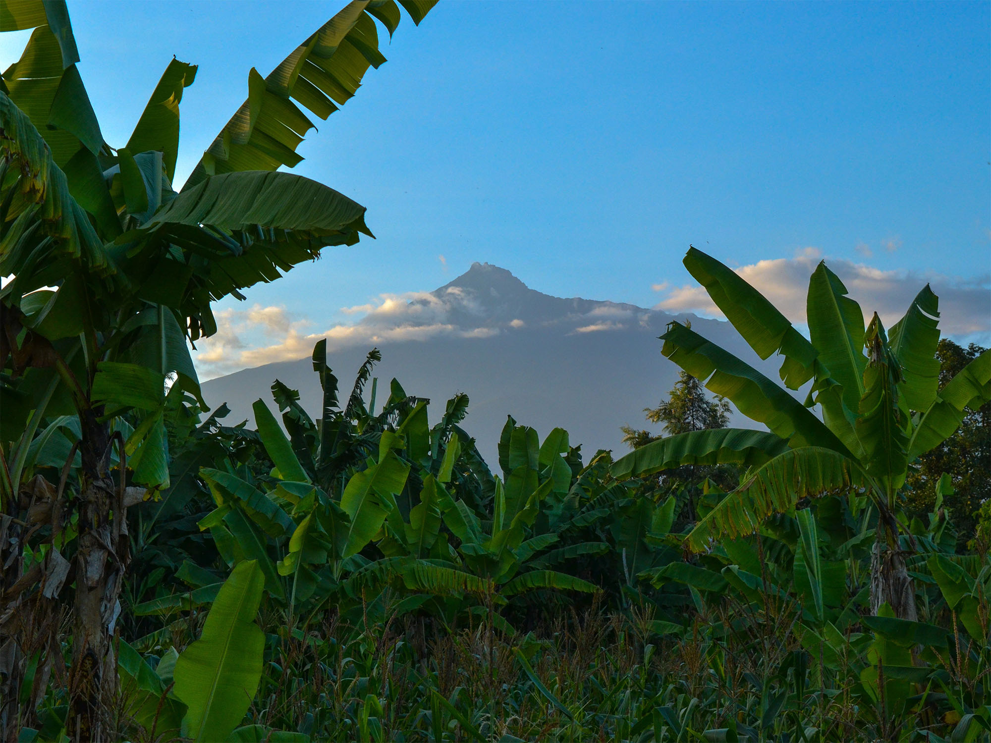 South & Central Africa