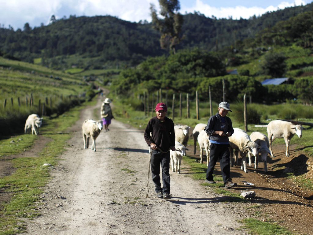 Transport infrastructure in southern Mexico and Guatemala:  A step toward development