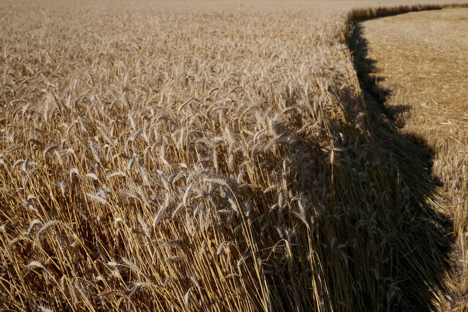 Ukraine is finally ready to embrace land reform