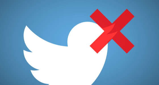 Twitter Ban