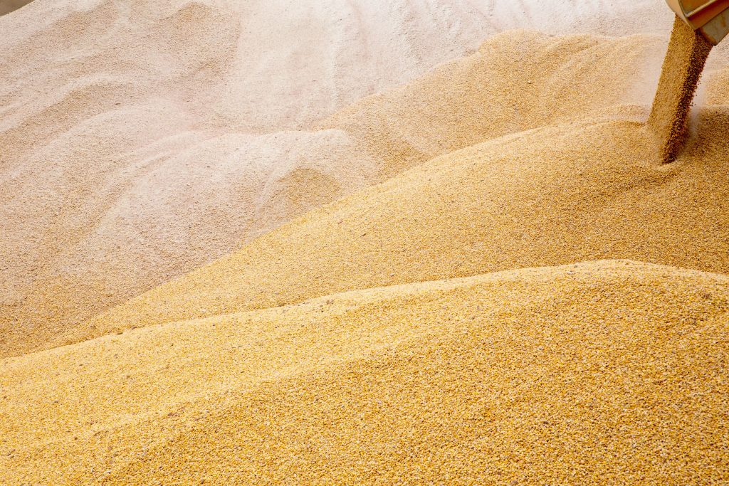 Breadbasket Ukraine must not prohibit grain exports