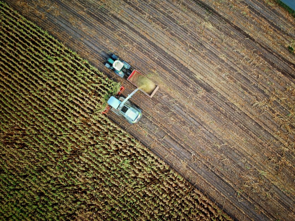 Tractor in field