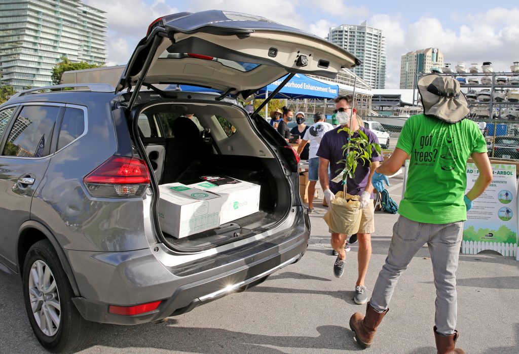 Volunteers packing fruit trees, hurricane preparedness kits, and other resources at recipients at the Farm Share no-contact food drive in Miami, FL.