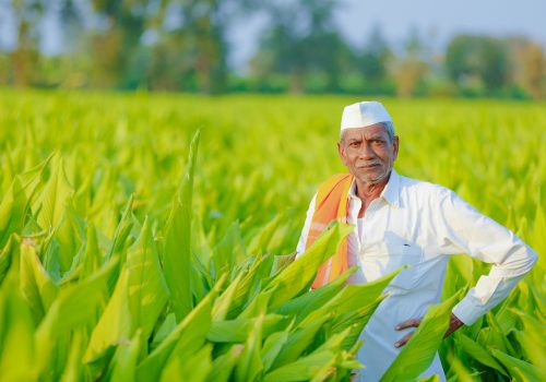 The hard work ahead in improving US-India agricultural trade