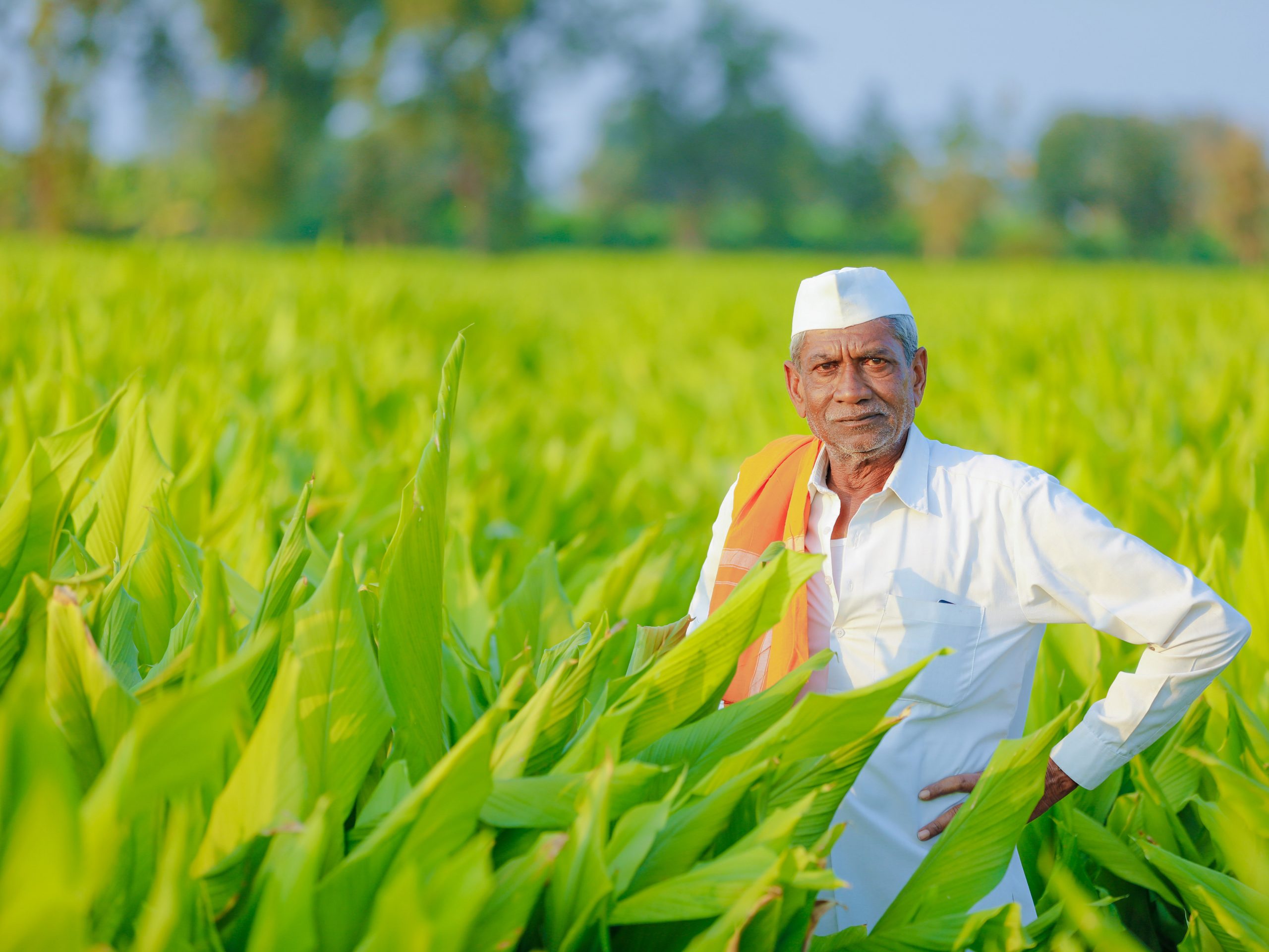 research in agriculture in india
