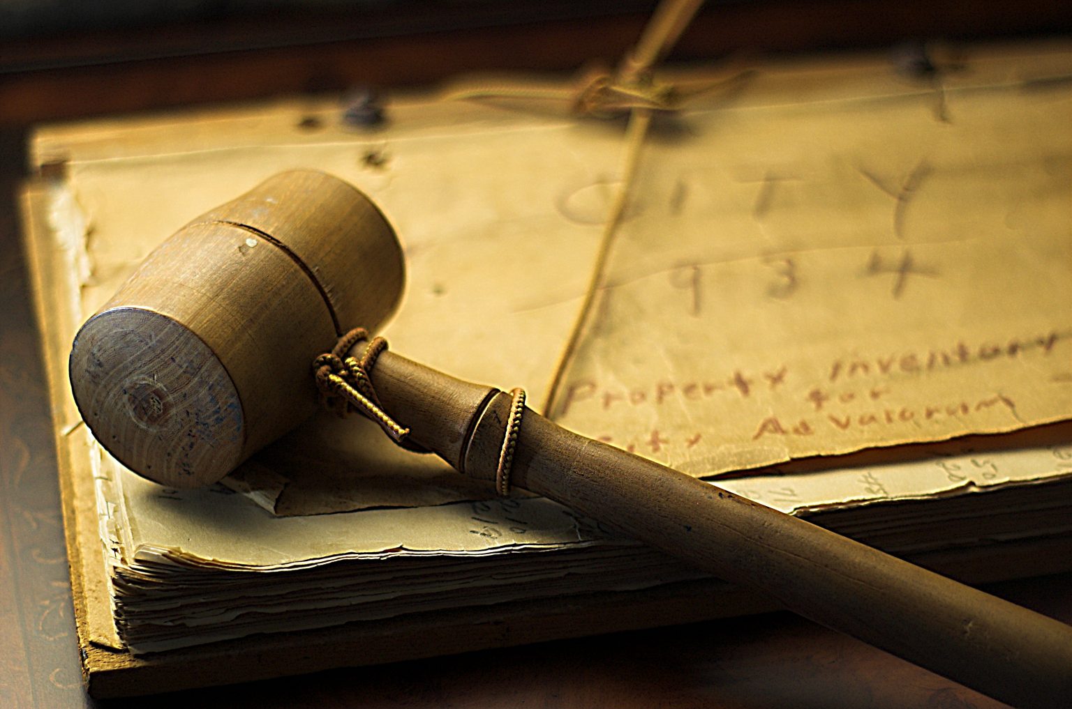 Strategic Litigation Project - Atlantic Council