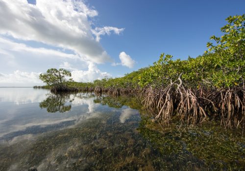 Gigaton carbon removal and the Paris Climate Agreement