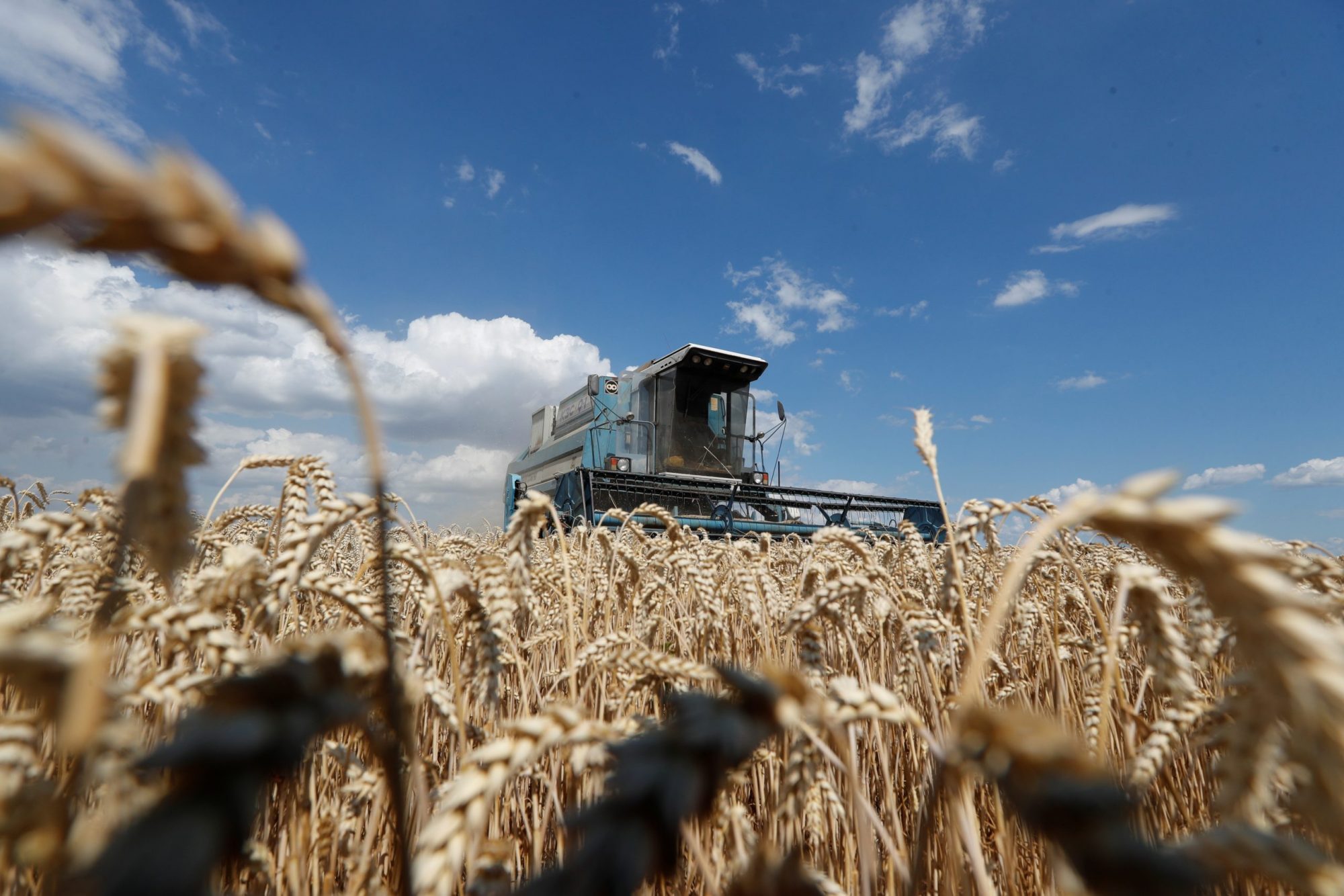 Ukraine poised for historic land market breakthrough - Atlantic Council
