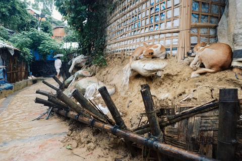 On World Refugee Day, we must choose action over words to help Rohingya refugees in Bangladesh