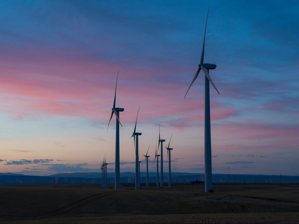 wind farm at dusk