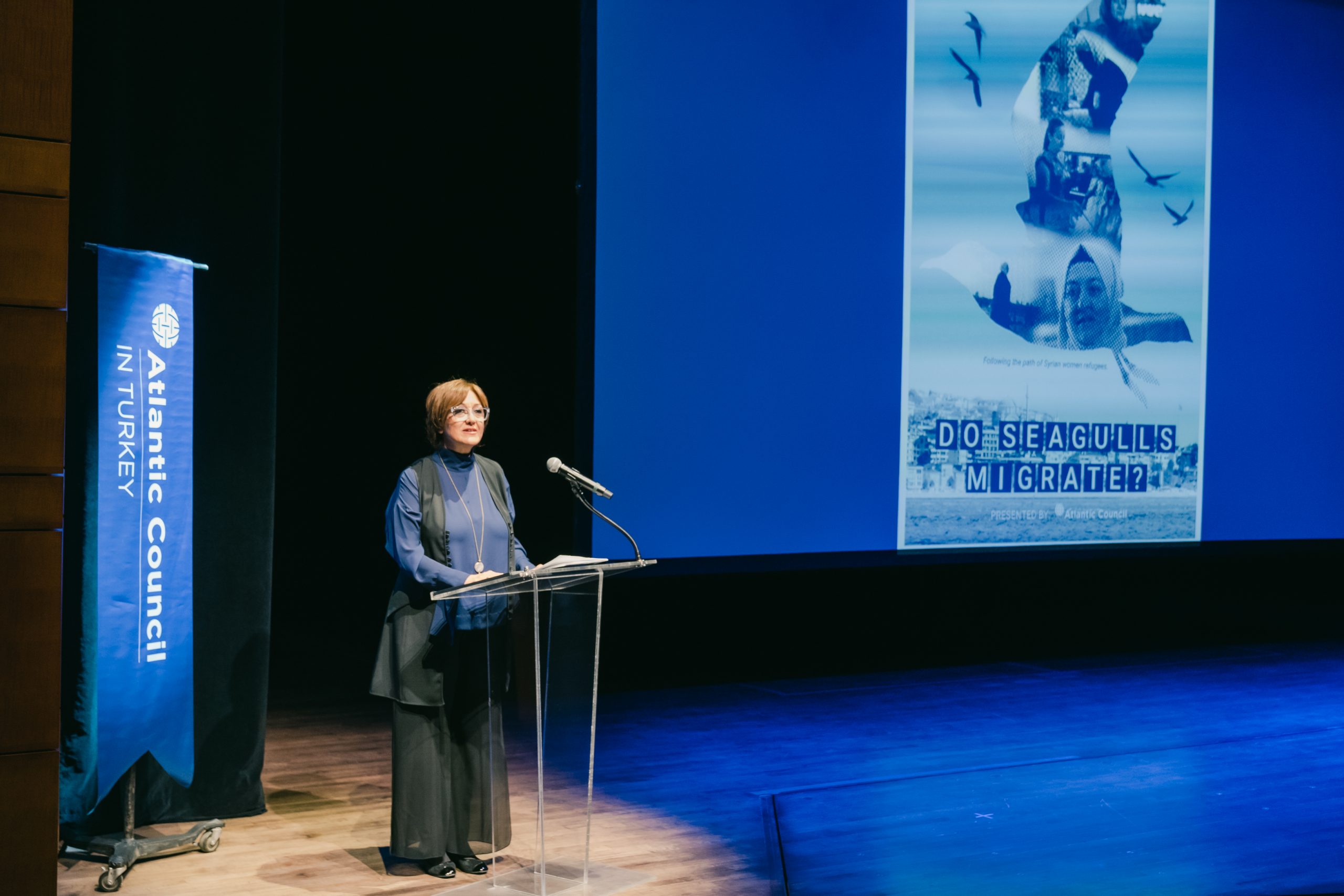 Premiere of the documentary "Do Seagulls Migrate?" Atlantic Council