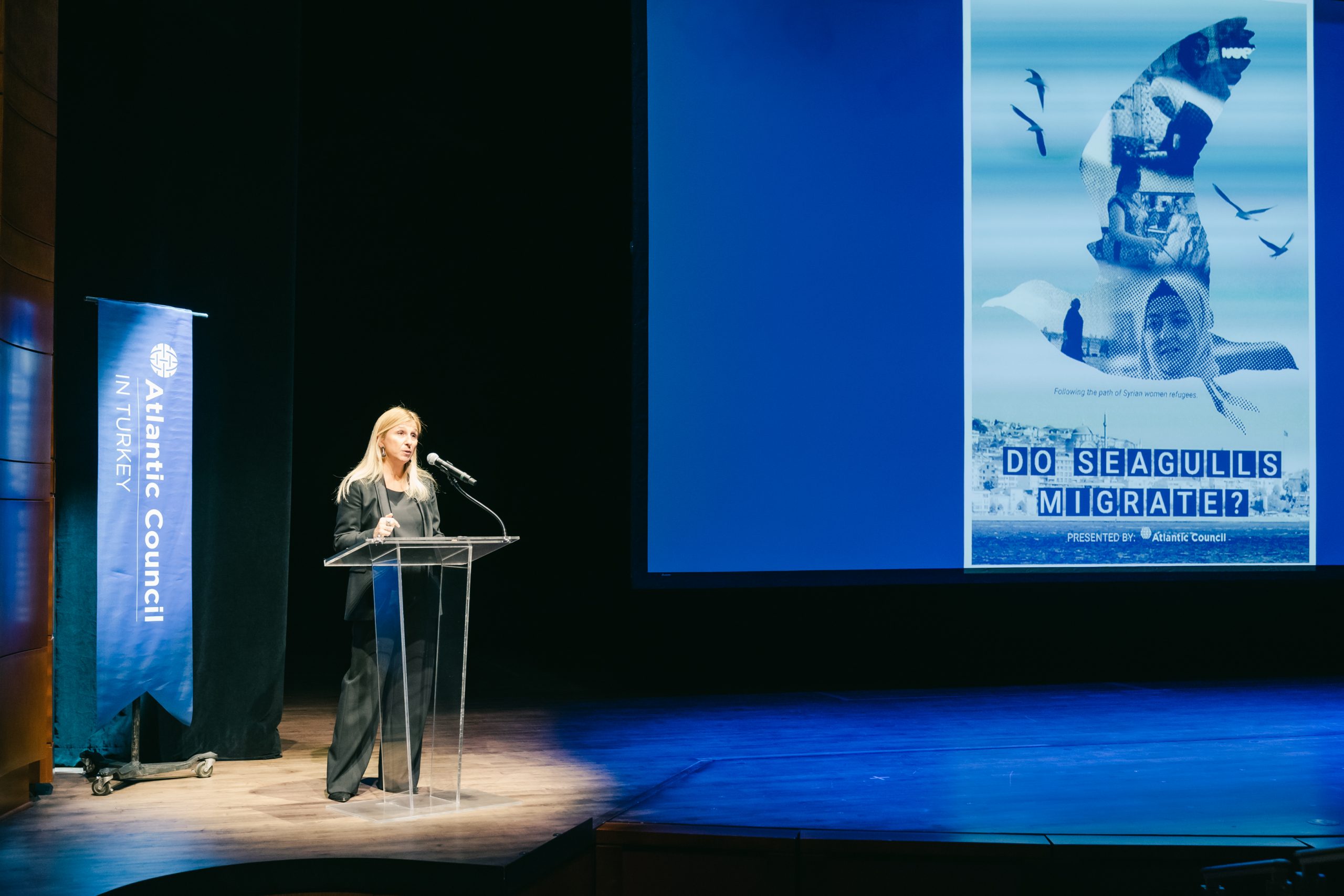 Premiere of the documentary "Do Seagulls Migrate?" Atlantic Council
