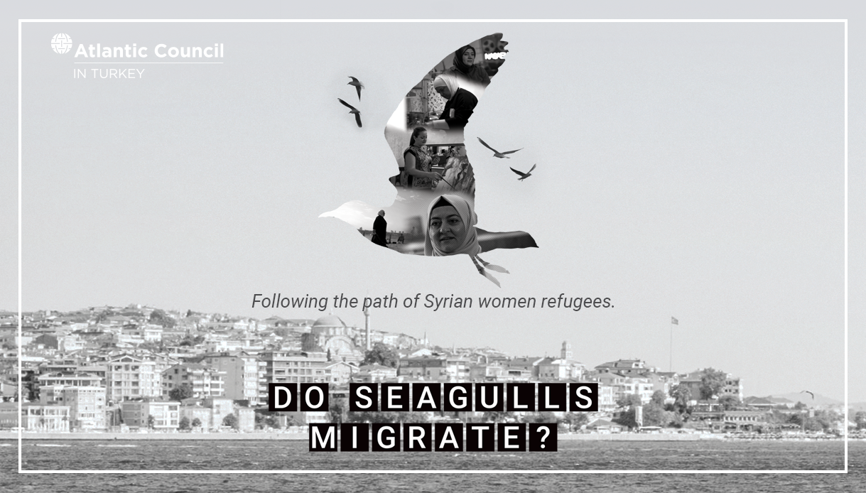 Premiere of the documentary "Do Seagulls Migrate?" Atlantic Council