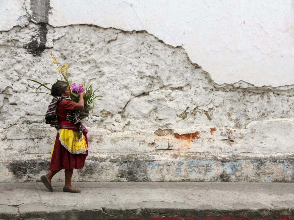 Unlocking SME potential in Latin America and the Caribbean