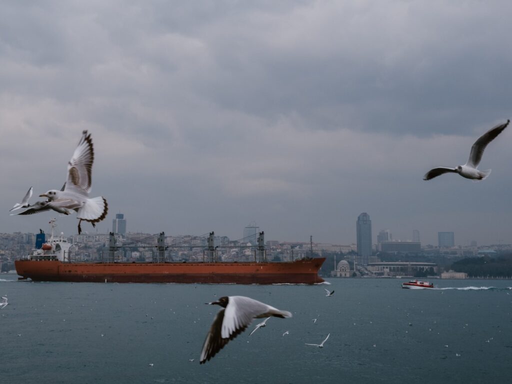 Turkey has survived the energy crisis. It still needs a more deliberate economic strategy.