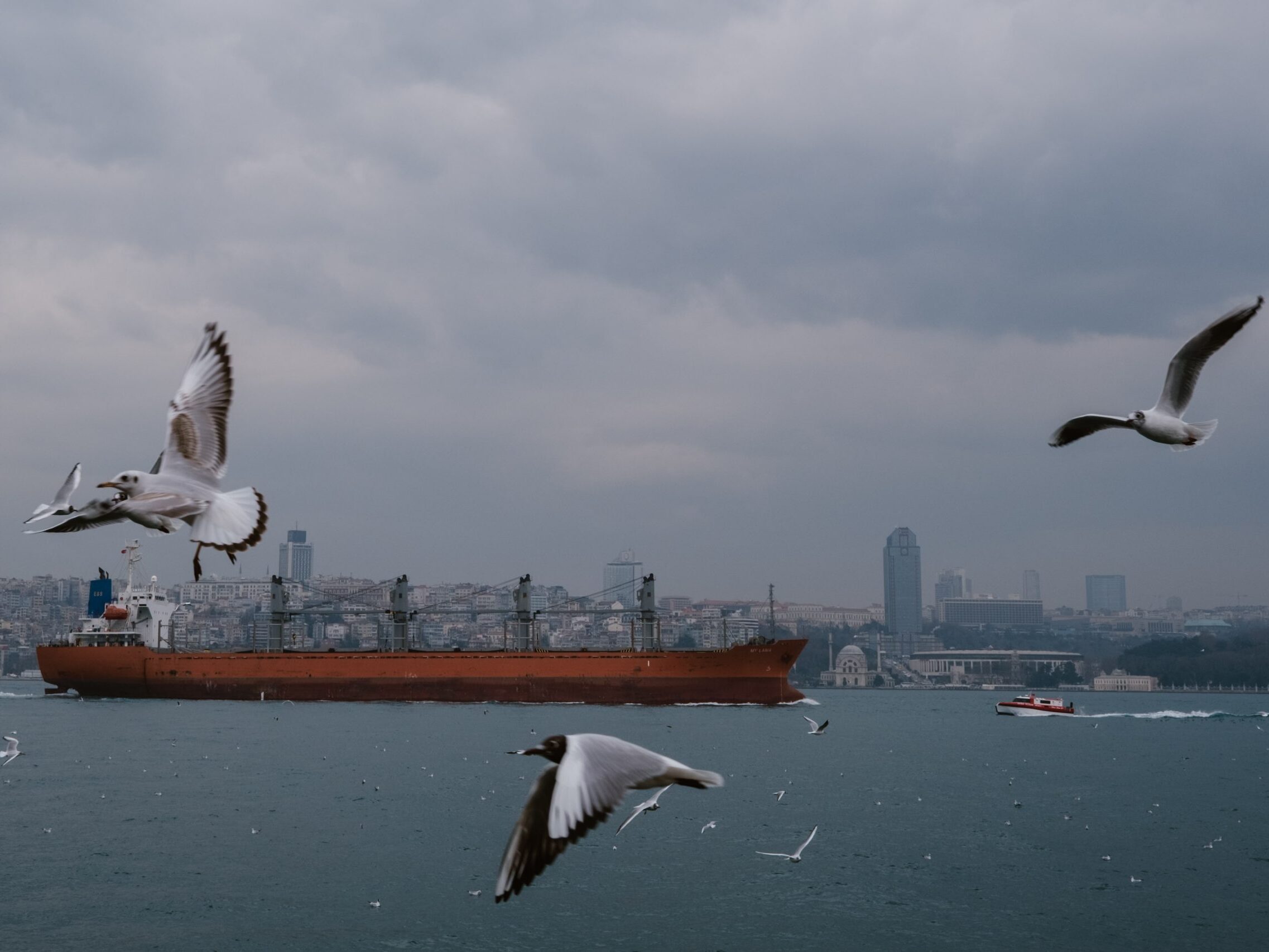 Turkey has survived the energy crisis. It still needs a more deliberate economic strategy.