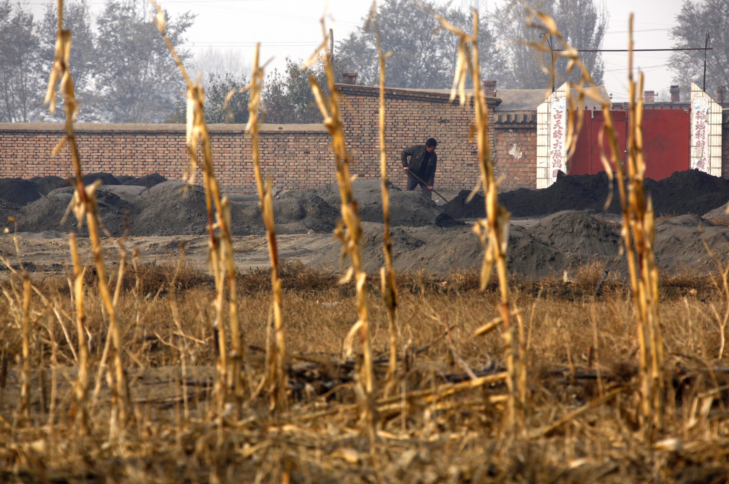 A villager, seen behind a field of dead crops, shovels cast-off tailings of crushed mineral ore that contain rare earth metals in Xinguang Village, located on the outskirts of the city of Baotou in China’s Inner Mongolia Autonomous Region. The massive Baogang corporation, located on the outskirts of Baotou city, churns out rare earth metals on a vast scale, and villagers living near the smelting plants and a vast tailings dam dump the black refuse from ore processing and say the rare earths boom was threatening their livelihood and health. China supplies 97 percent of rare earths used worldwide, and they go into magnets, bearings and high-tech components that go into computers, vehicles and, increasingly, clean energy technology such as wind turbines and hybrid cars. REUTERS/David Gray