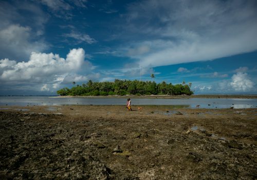 The IEA World Energy Outlook 2022 highlights climate finance needs ahead of COP27