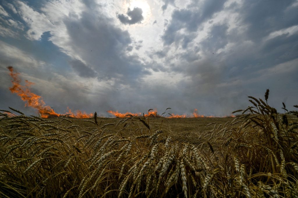 Vladimir Putin must not be allowed to bankrupt the Ukrainian breadbasket