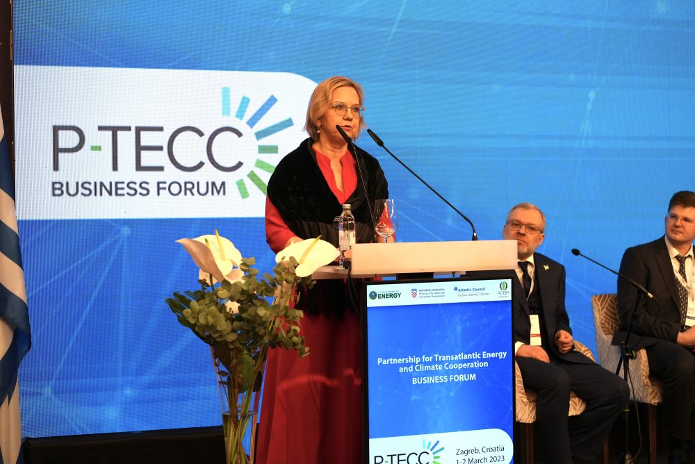 Anna Moskwa, Minister of Climate and Environment, Poland