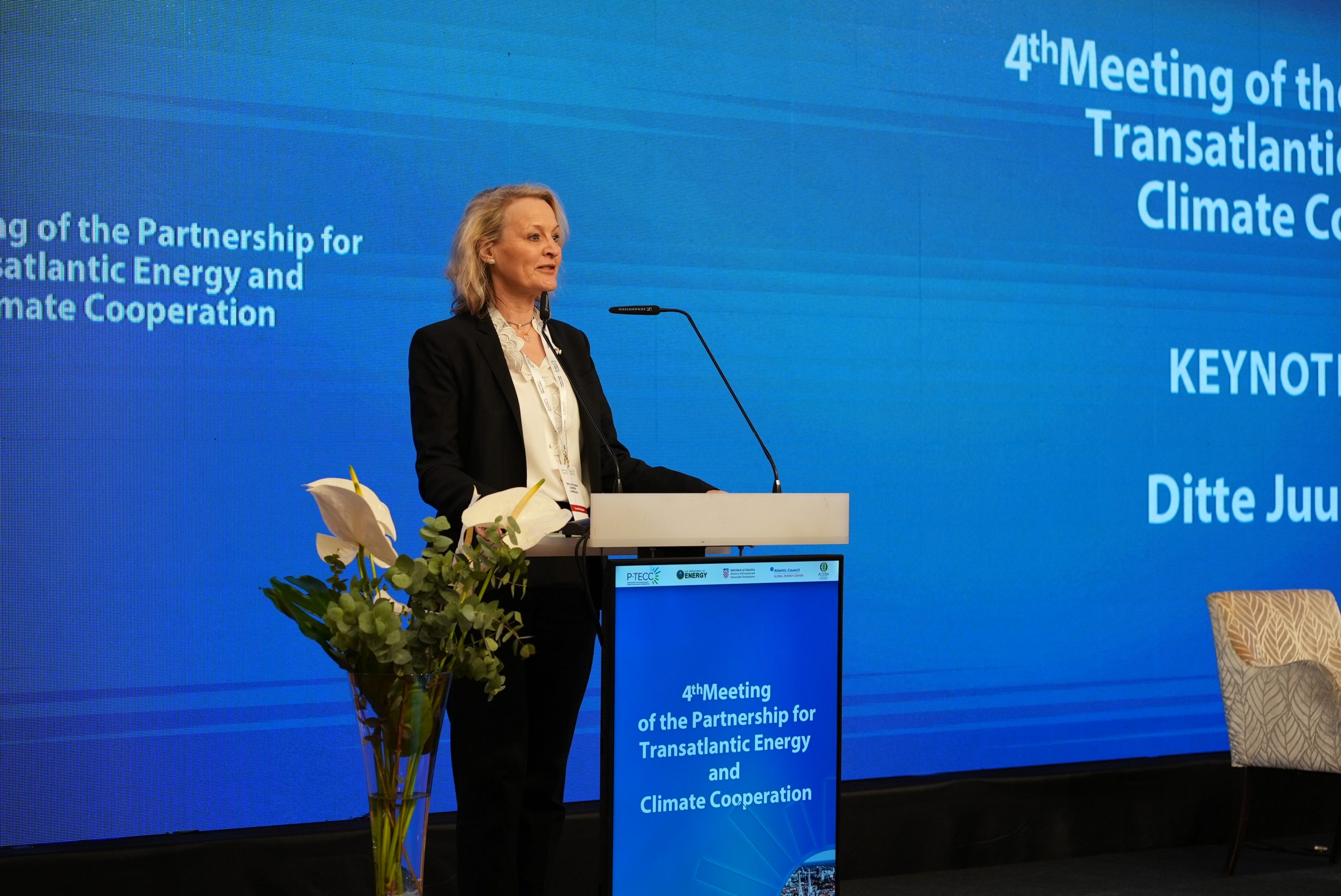 Fourth meeting of the Partnership for Transatlantic Energy and Climate ...