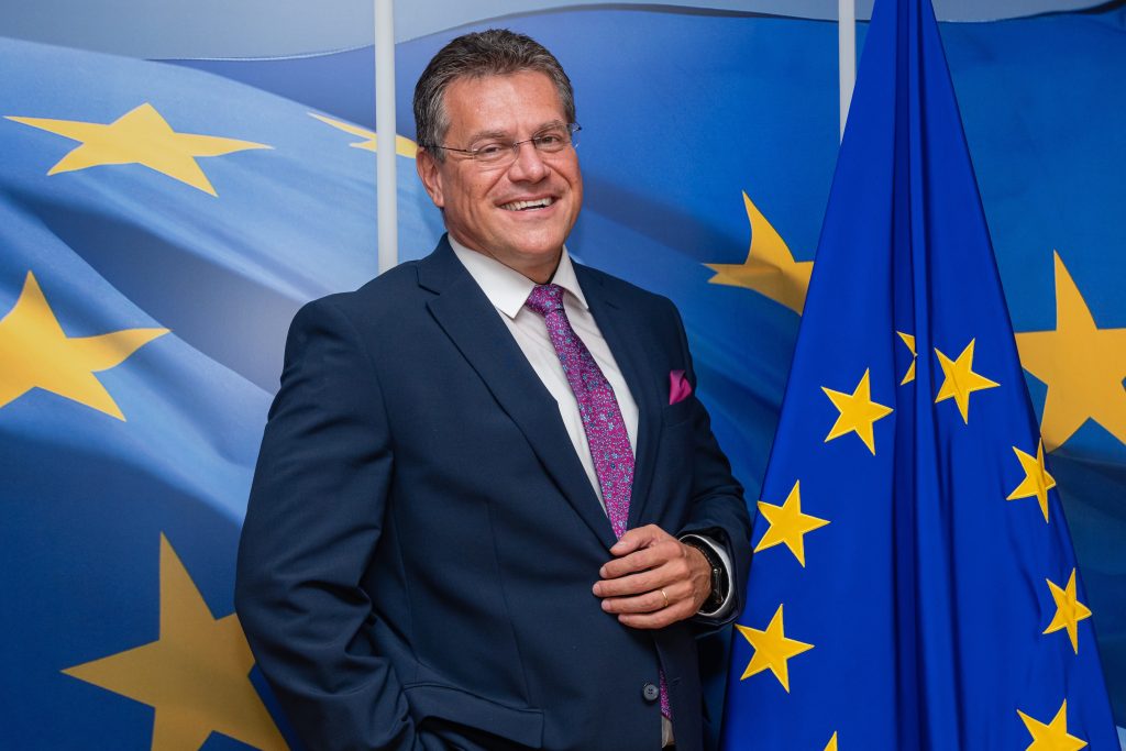 Commission VP Sefcovic