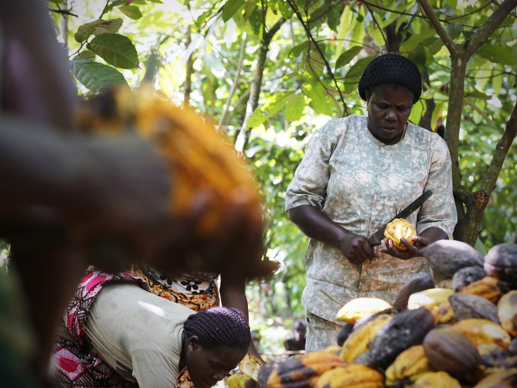 Tackling food insecurity in Africa will require securing women’s rights. Here are two ways to start.