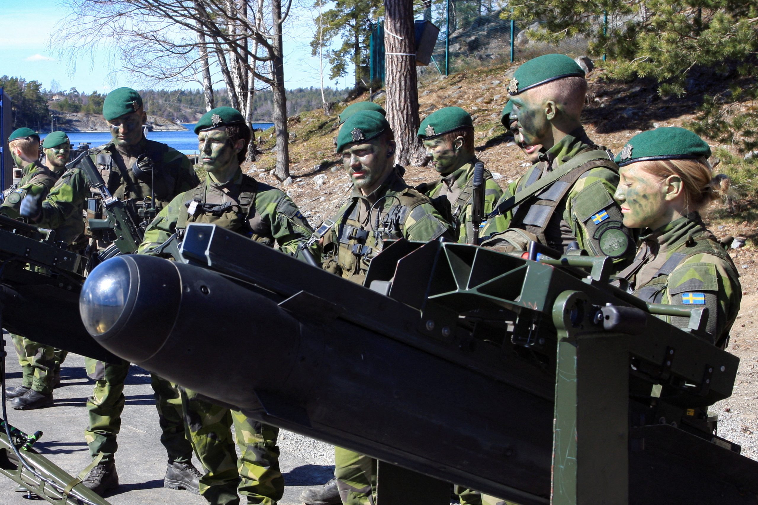 Sea Change: Nordic-Baltic Security in a New Era - CEPA