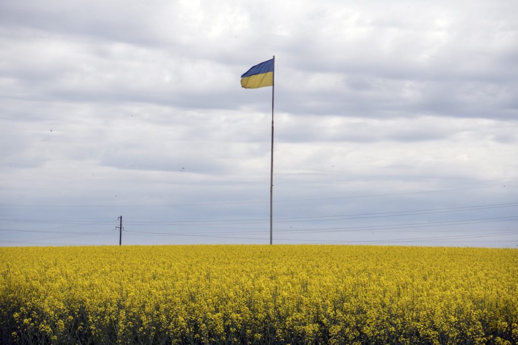 Ukraine must reduce role of state in the economy to boost EU integration