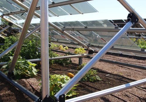 Rooftop solar garden