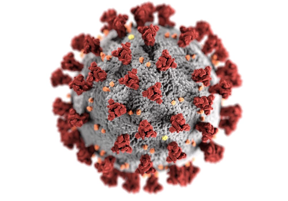 Coronavirus Atlantic Council