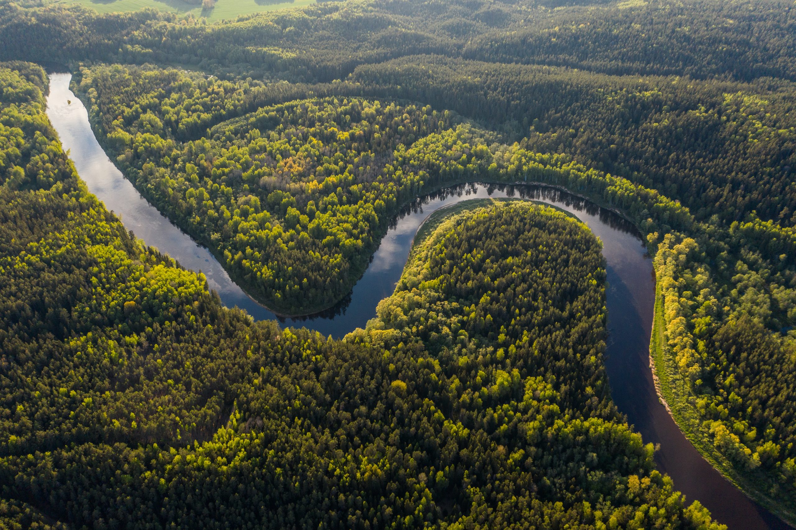 Top view of a section of the Amazon river and forest