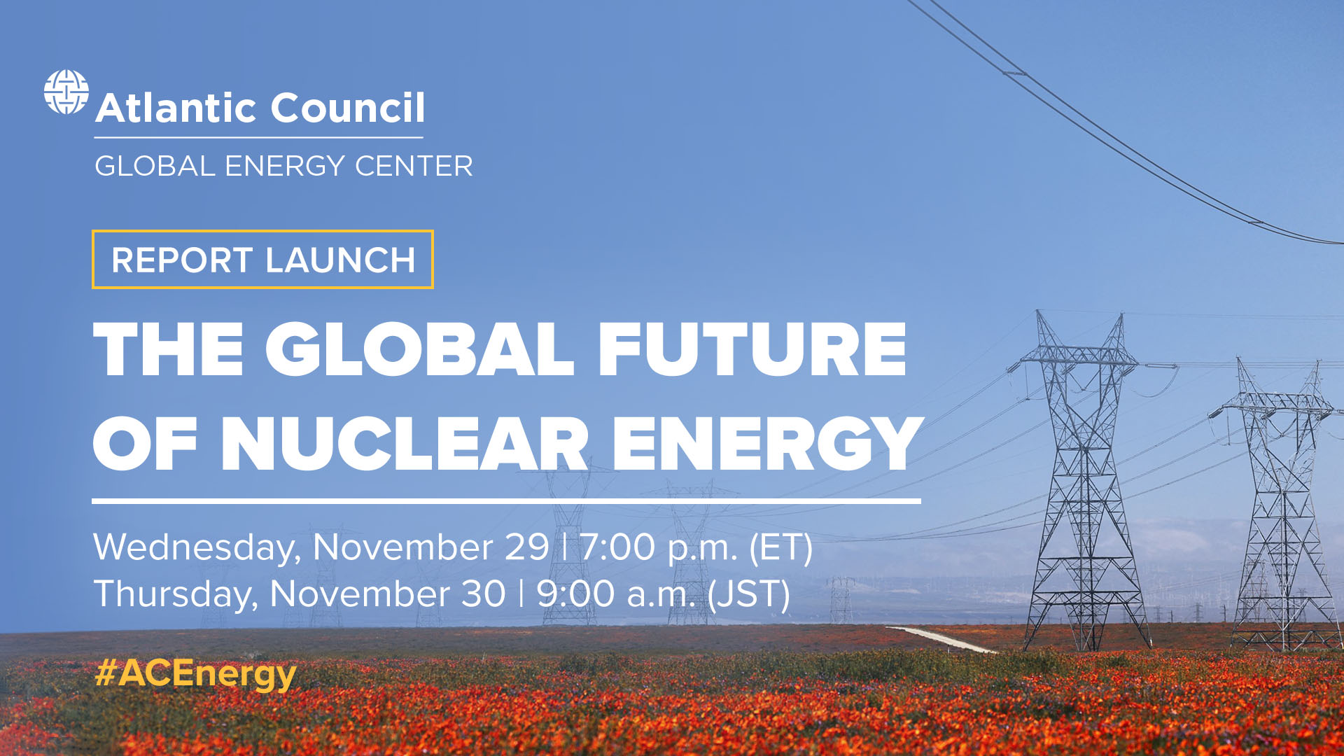Report launch: The global future of nuclear energy