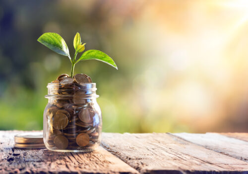 Plant Growing In Savings Coins - Investment And Interest Concept