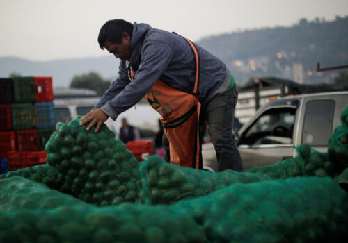 A local producer arranges a sack with freshly harvested avocados at a market in Tenancingo de Degollado, Mexico.