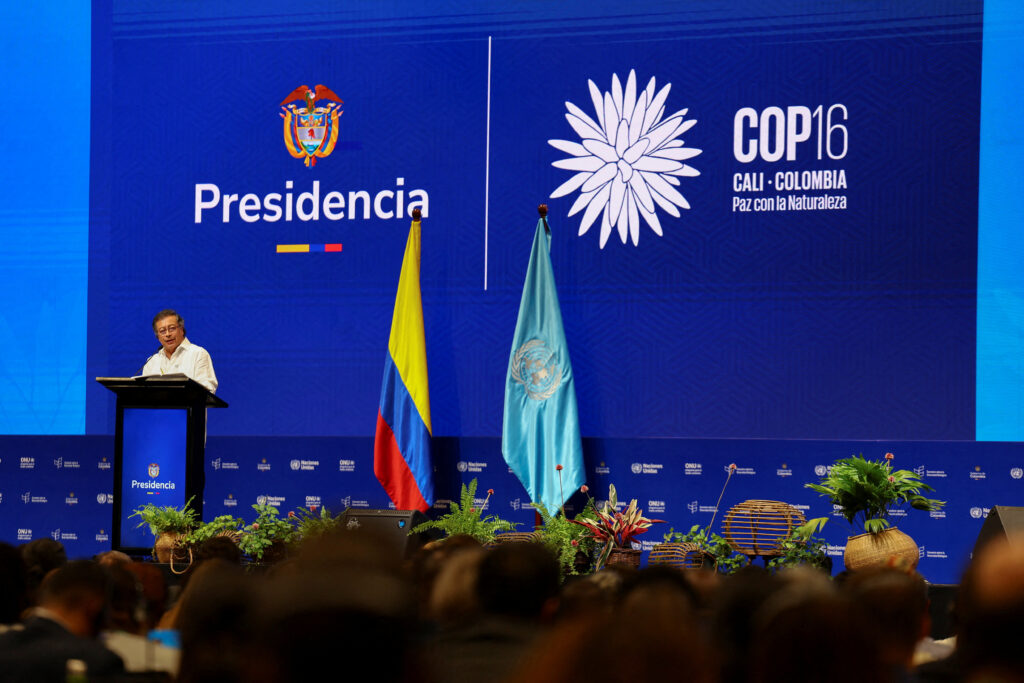 Following COP16, can Latin America and the Caribbean lead the creation of biodiversity markets?