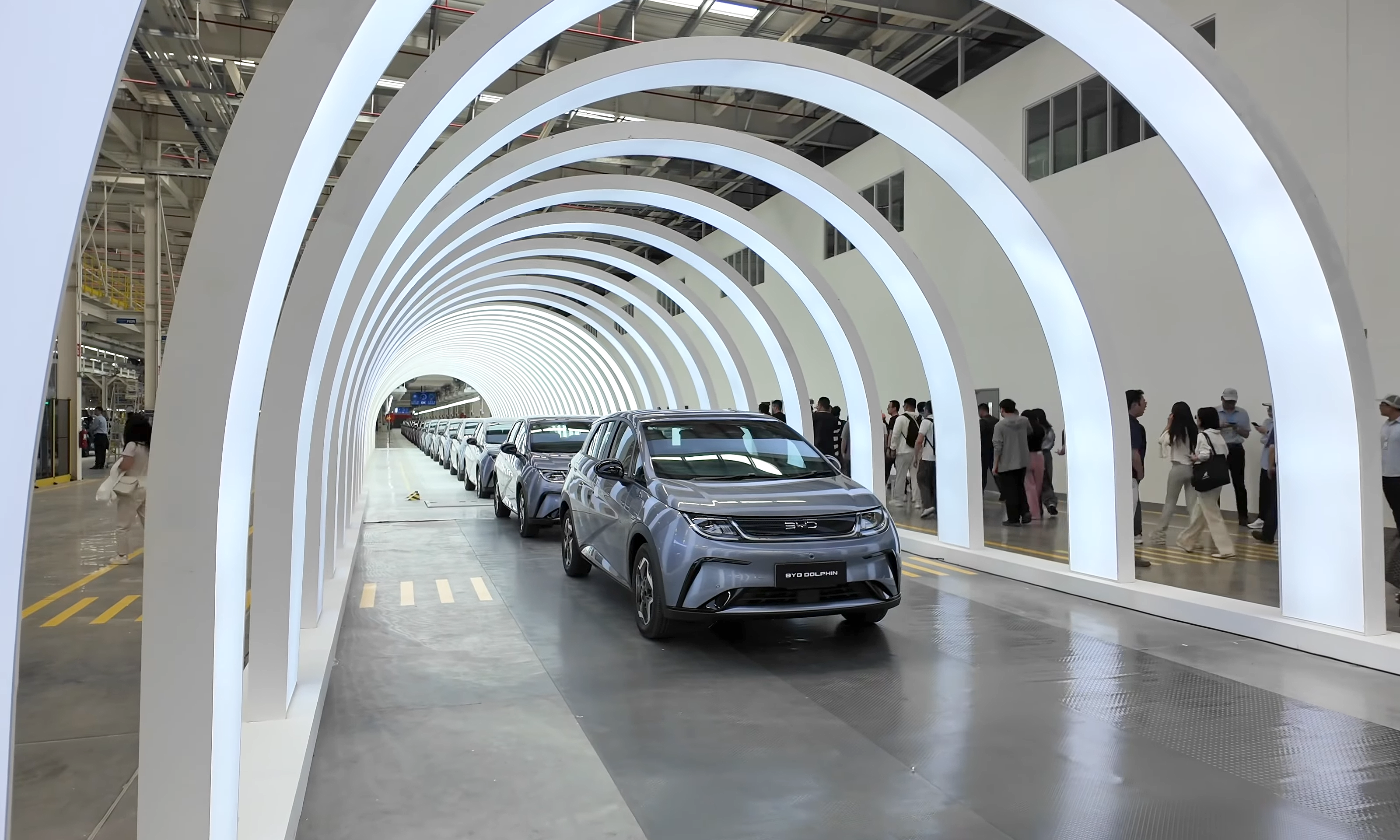 elliott blueberry plant Blueberry, Elliott 5 gallon  Phantom 2 Go