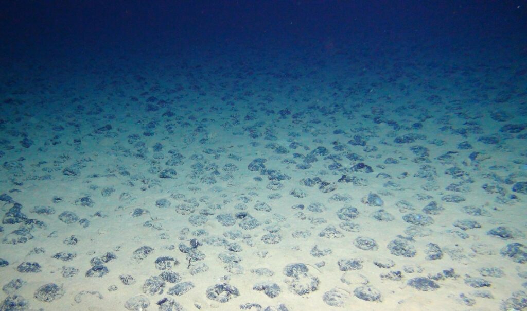 Environmental risk weighs heavily on the possible rewards of deep sea mining 