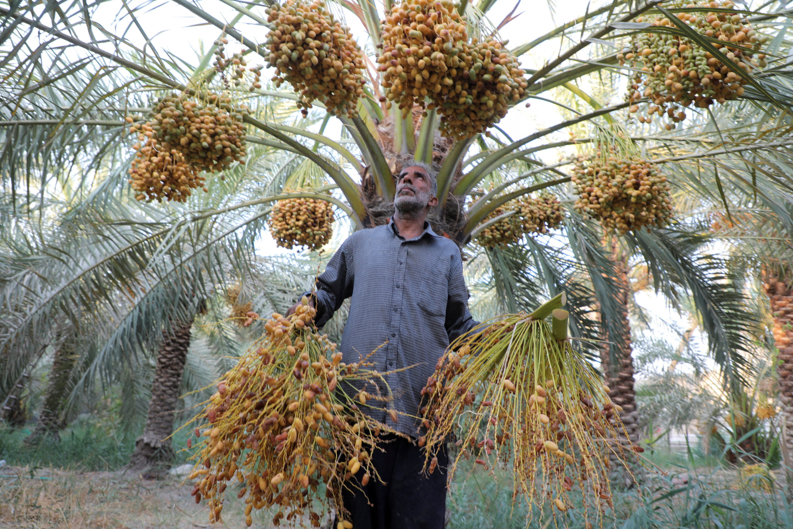 Dispatch from Basra: Glimpses of hope in Iraq’s forgotten south
